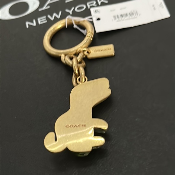 NWT Coach Rexy Bag Charm Keychain FOB Metal Key Loop Dinosaur Resin c8641 purse - Picture 7 of 7